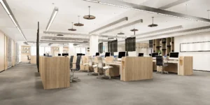 Professional Interior Designers Delhi